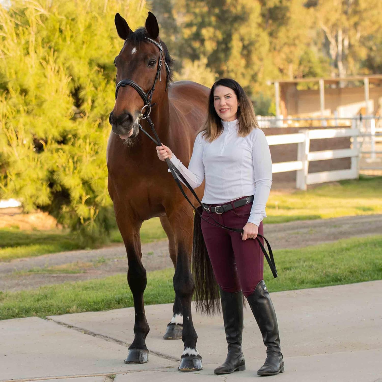 Equinavia Saga Dressage Padded Crank Noseband Bridle with Flash and Reins - Black - Horse