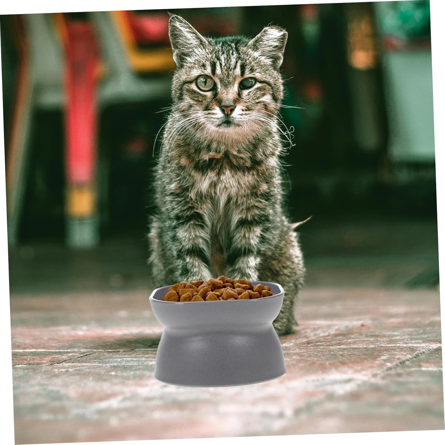 PetVogue Pet Food Water Bowl, Tilt Design Elevated Feeder Bowl with Raised Stand Double Sided Available Pet Feeder Bowls for Cats, Puppy, Bunny, Small Sized Pets Indoor 3