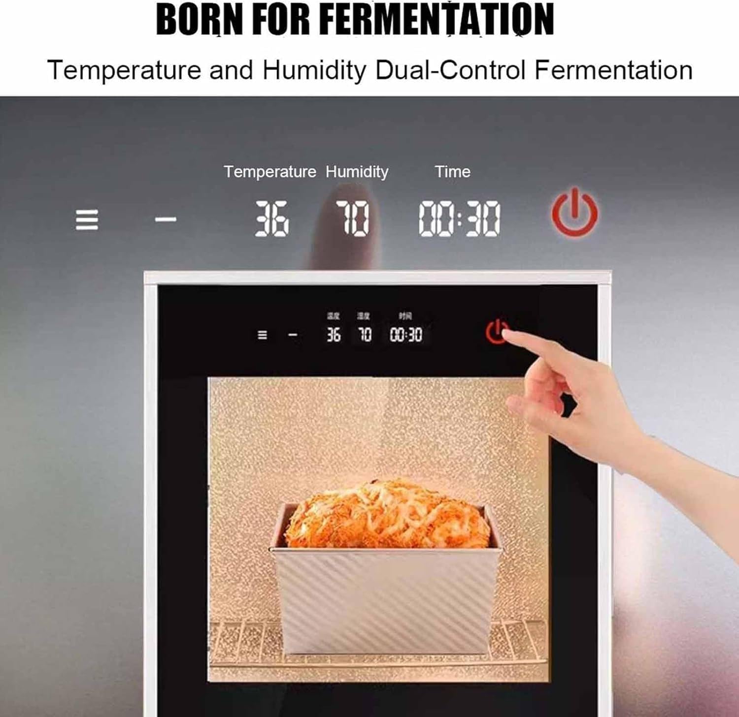Electric Bread Proofer Box with Humidity & Temperature Control (20-50°C, 60-90% RH) - Compact Dough Fermentation Incubator for Home Bakers & Pizza Dough Proofing
