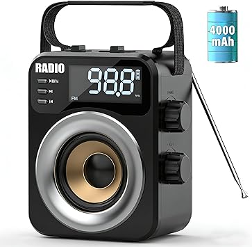 Portable Radio AM FM WB SW,Bluetooth Digital Radios Built-in 4000mah Rechargeable Battery/DC D*3 Cell Battery Operated,10W Speaker,TF/USB Playback,LCD Display Weather Alert for Home Outdoor Emergency
