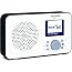 TechniSat Viola 2 C IR – Tragbares Internetradio Mit DAB+, UKW, WLAN & 2,4-Zoll-Display | Wechselakku, Inkl. UNDOK-App-Steuerung