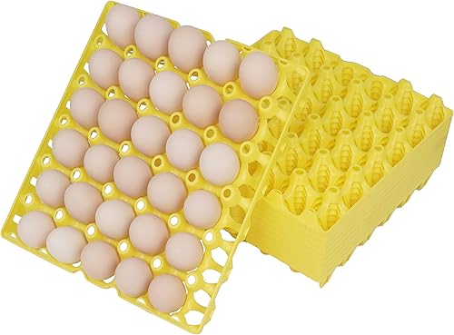 10 bandejas de plástico para huevos de 30 celdas, cajas de huevos apilables para embalaje de huevos, almacenamiento, envío de huevos frescos