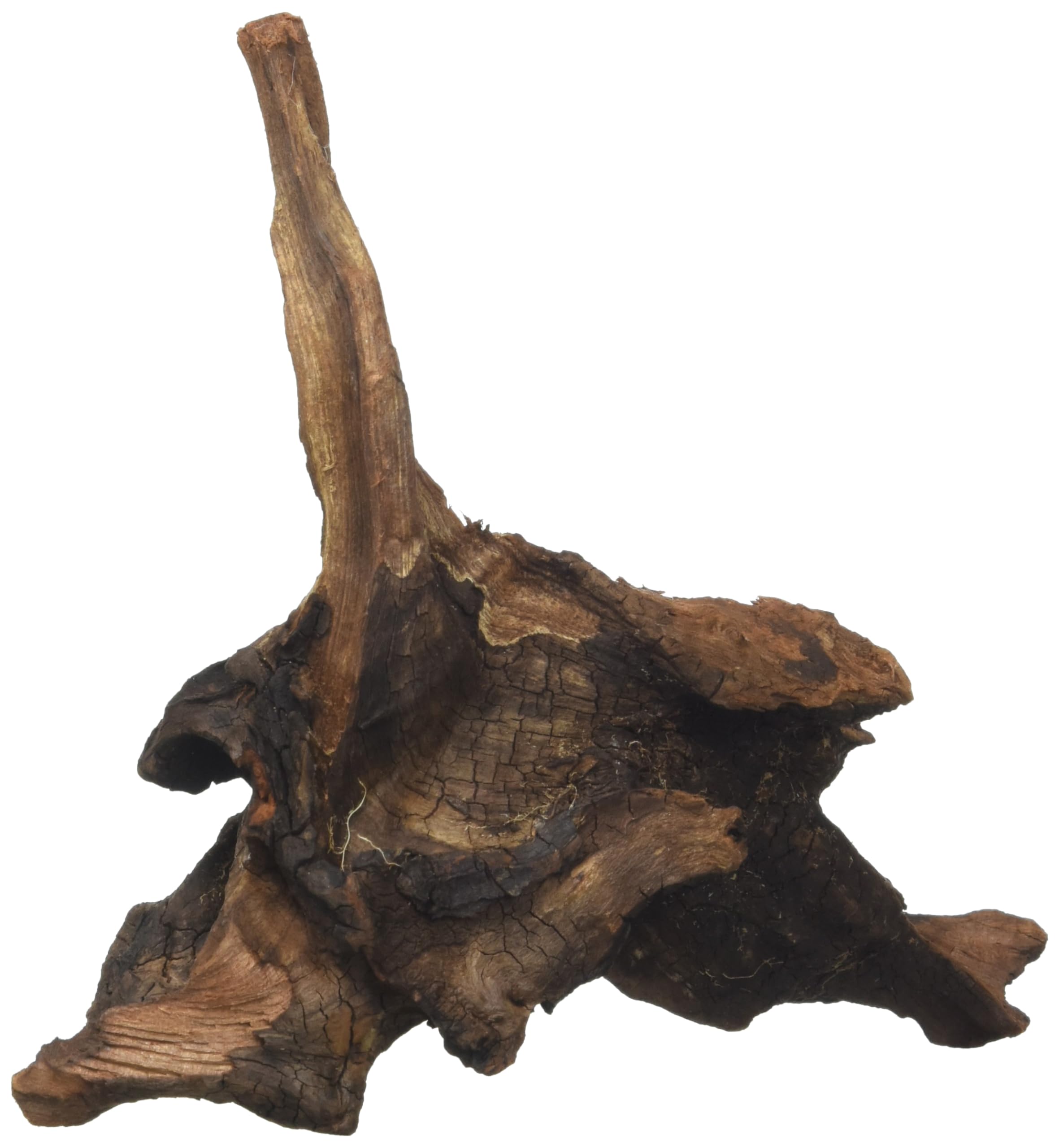 Amtra Legno Mystic Wood - Decorazione per acquario naturale, per acquario, paludari e terrari, 15-20 CM