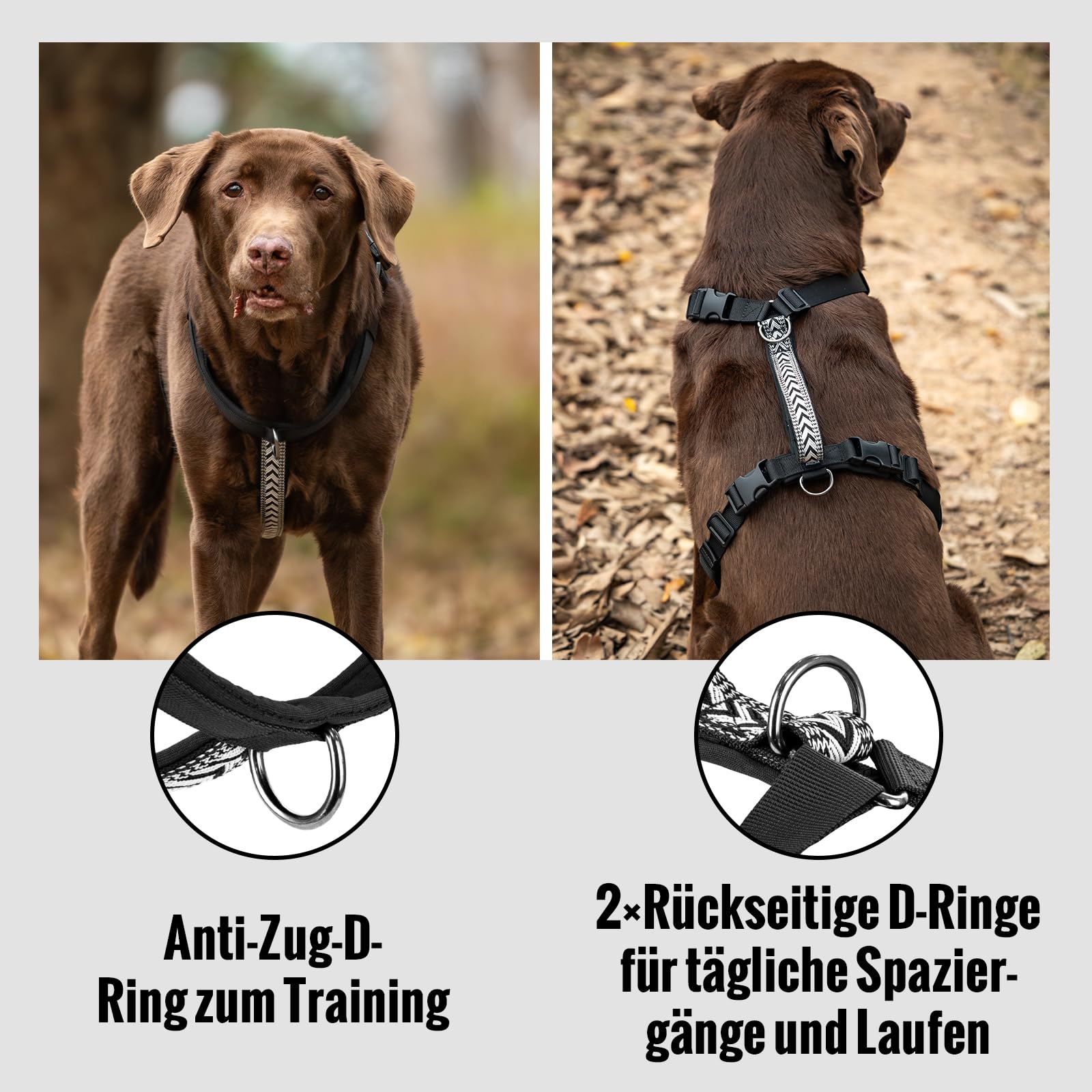 Arblina Hundegeschirr, Ausbruchsicheres Antizuggeschirr für Kleine, Mittlere und Große Hunde, Hundegeschirr Gepolstert mit Front Clip und Weichem Griff für Training, Spaziergänge und Laufen, Schwarz S