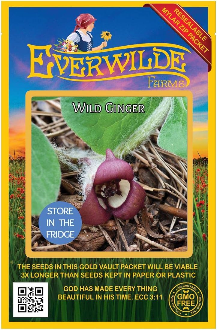 Everwilde Farms - 25 Wild Ginger Native Wildflower Seeds - Gold Vault Seed Packet