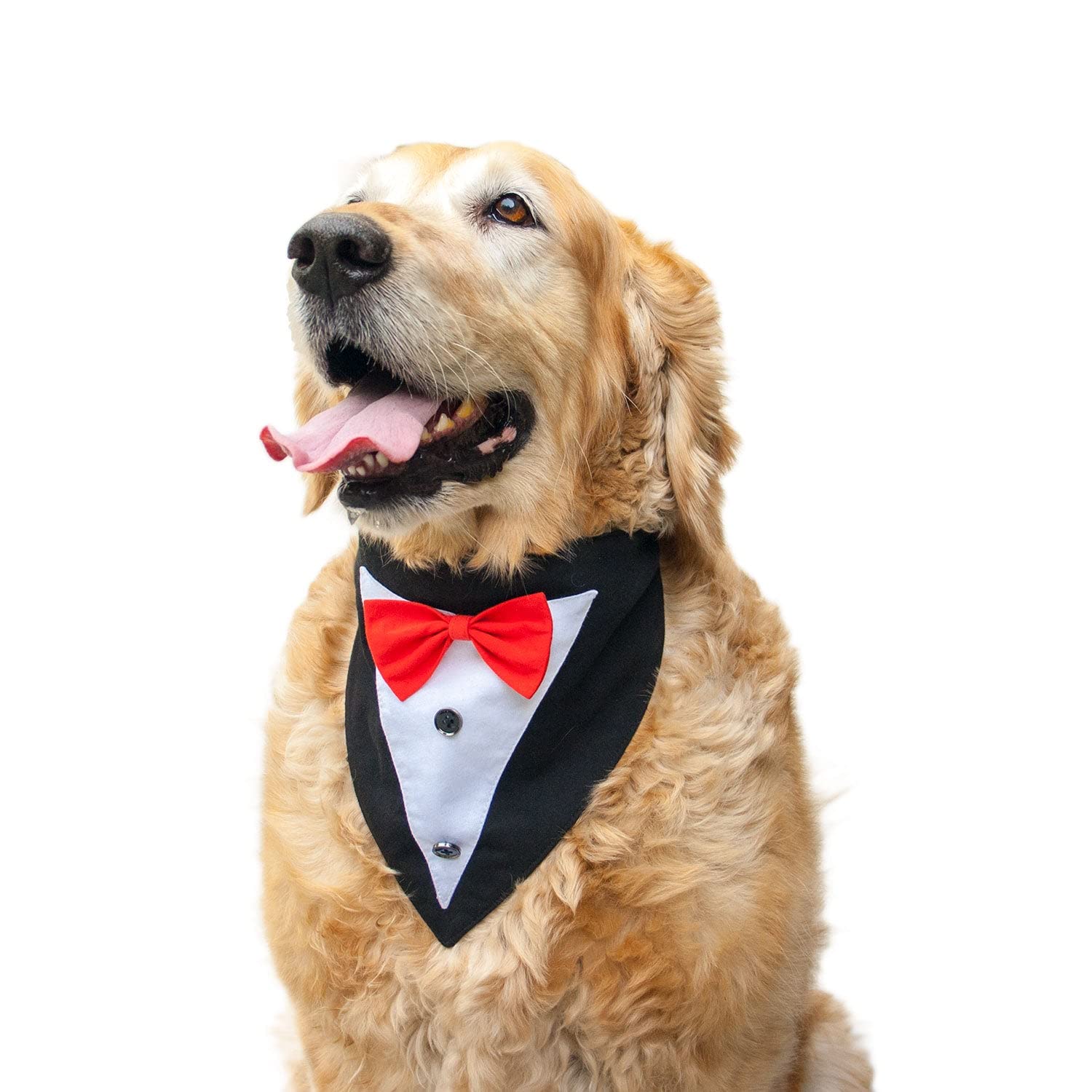 Ruse Tuxedo with Adjustable & Comfortable Anti Chafing Elastic Dog Bandana Scarf Gift for Pets.(Black and Red) Small (B09ZRSGDCY) Amazon Price History, Amazon Price Tracker
