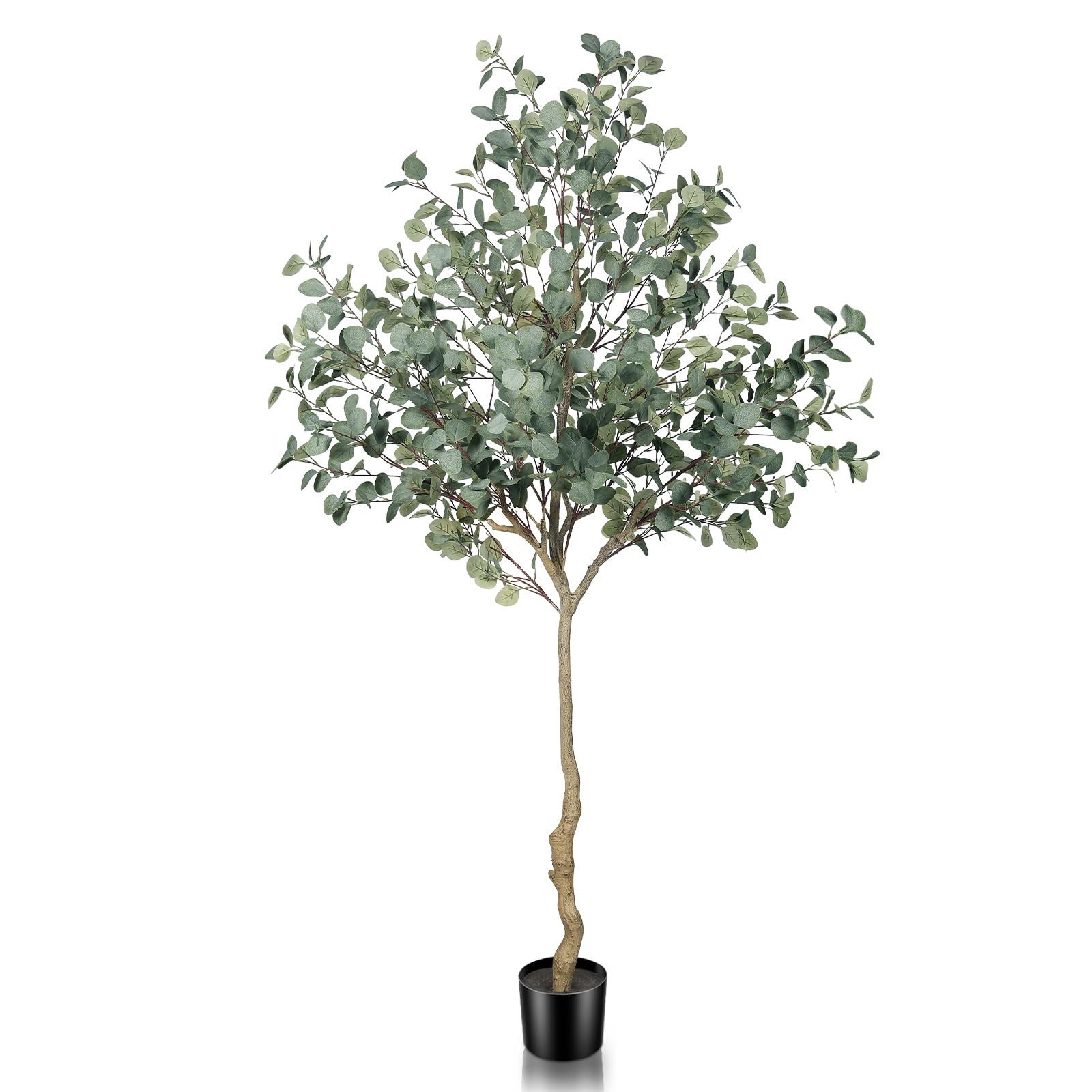 LYERSE Eucalyptus Tree 7ft
