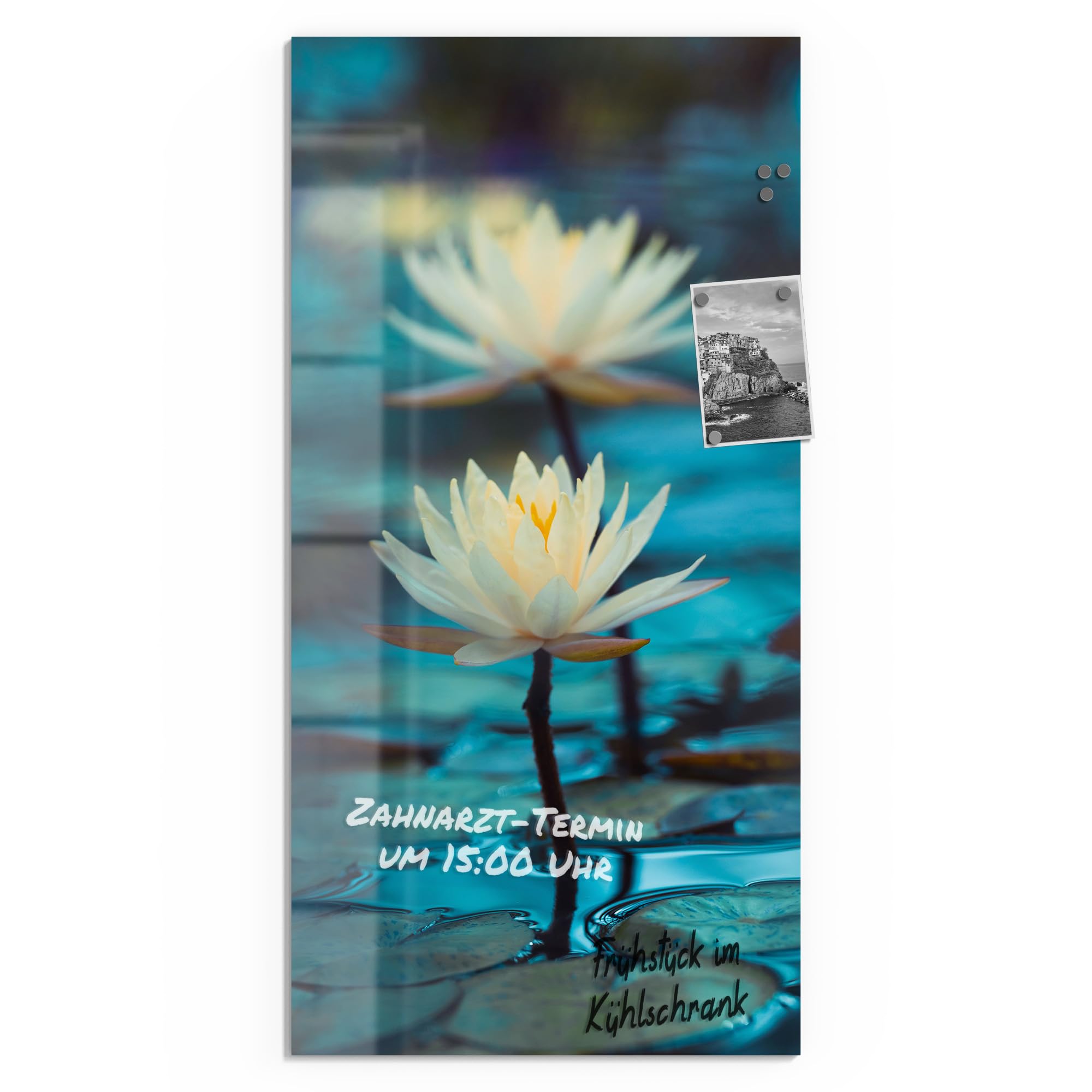 DEQORI Szklana tablica magnetyczna | wymiary 50 x 100 cm | motyw "seria lilii wodnych" | tablica memo ze szkła | tablica magnetyczna z magnesami, długopisem i chusteczką do kuchni i biura | tablica