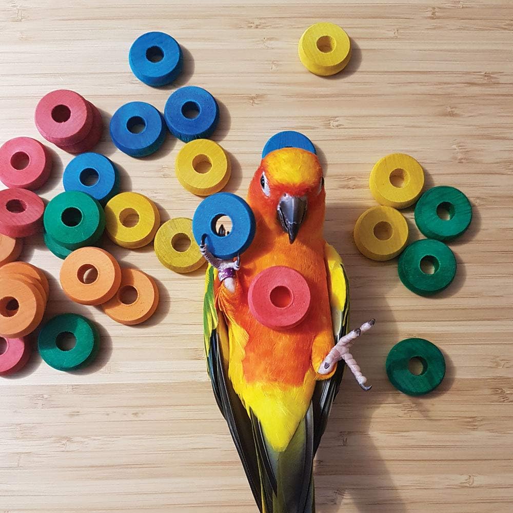 ZooMax Coloured Wooden Discs Parrot Toy Making Parts Amazon.co.uk