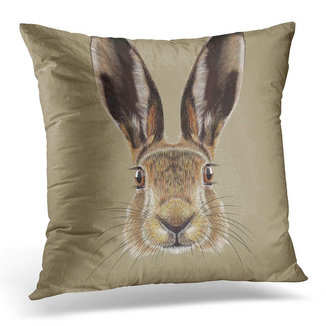 Awowee Color 9 Cushion Cover 45X45cm/18X18inches Rabbit Portrait Of Hare Cute Face Wild On Natural Home Decor Throw Pillow Cover Square Pillowcase For Bed Sofa