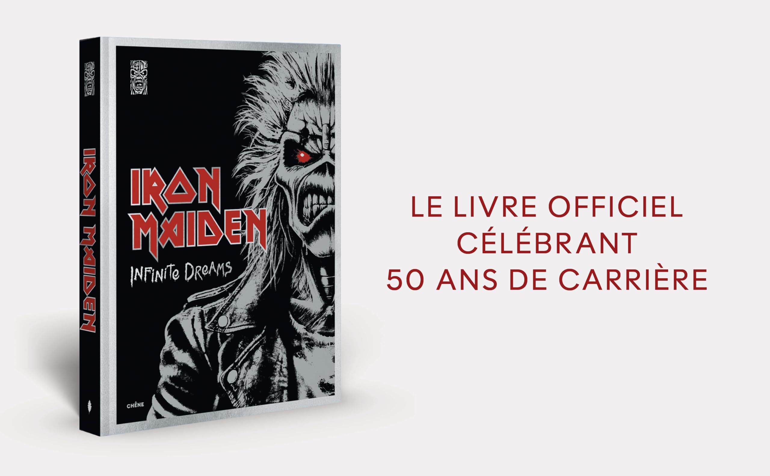 Iron Maiden: Infinite Dreams - Version Française: Le livre officiel
