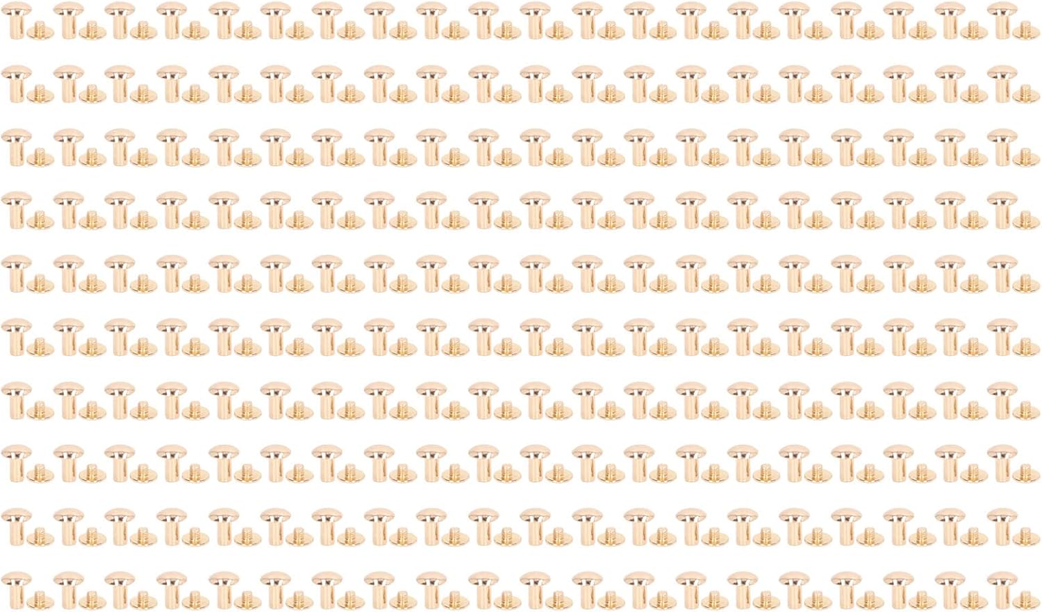 200 Set 10mm 12mm Brass Book Binding Screw Kit, Leather Rivet Assorted Kit, Hard Thick Uniform Coating Chicago Screws for Photo Album DIY Craft (Gold)