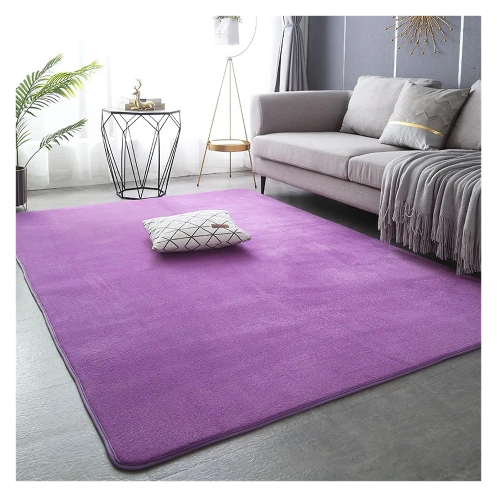 Tapis de salon moderne violet en velours de corail et peluche courte 80x160