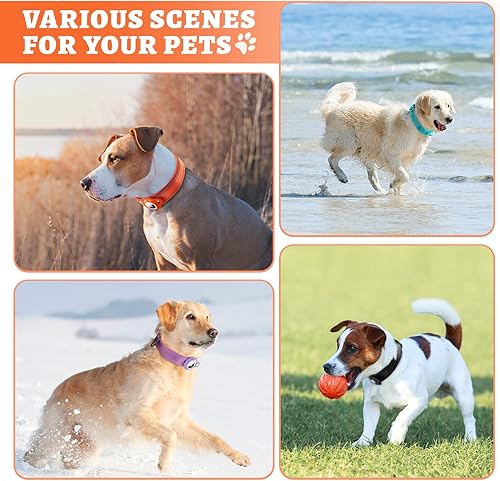 Miniatura 7 de AirTag - Collar de perro Naranja - Talla M Collar reflectante de Apple Airtag para perro, collar de perro grueso AirTag, soporte integrado para