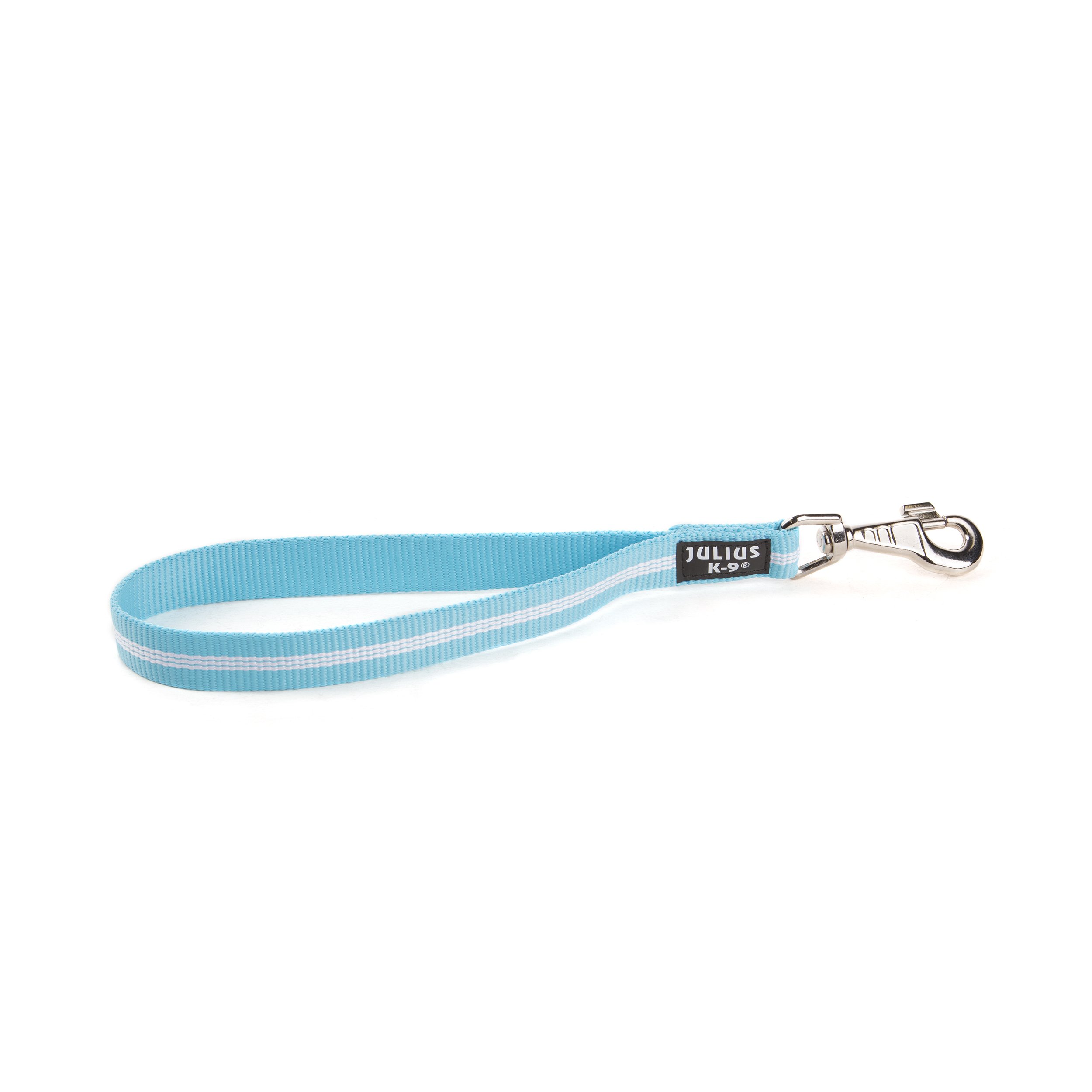 IDC Tubular Webbing Short Leash, 25 mm x 35 cm, Aquamarine