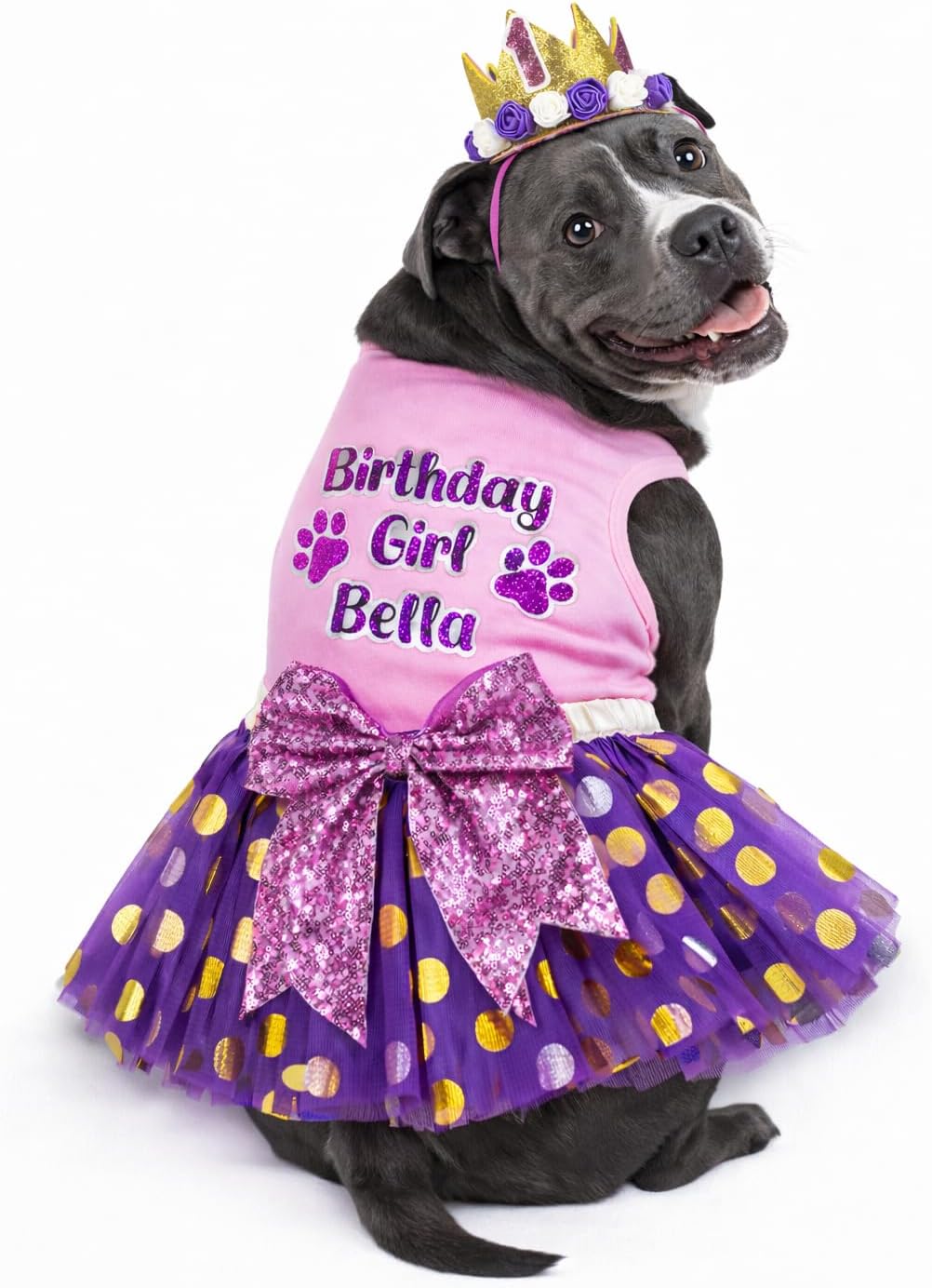Personalized Pink and Purple Dog Birthday Outfit, Fits Small Dogs to Large Dogs 3 Lbs to 100 Lbs, Chihuahua, Corgi, Pitbull and Other Breeds (4XL 50-70 lbs)