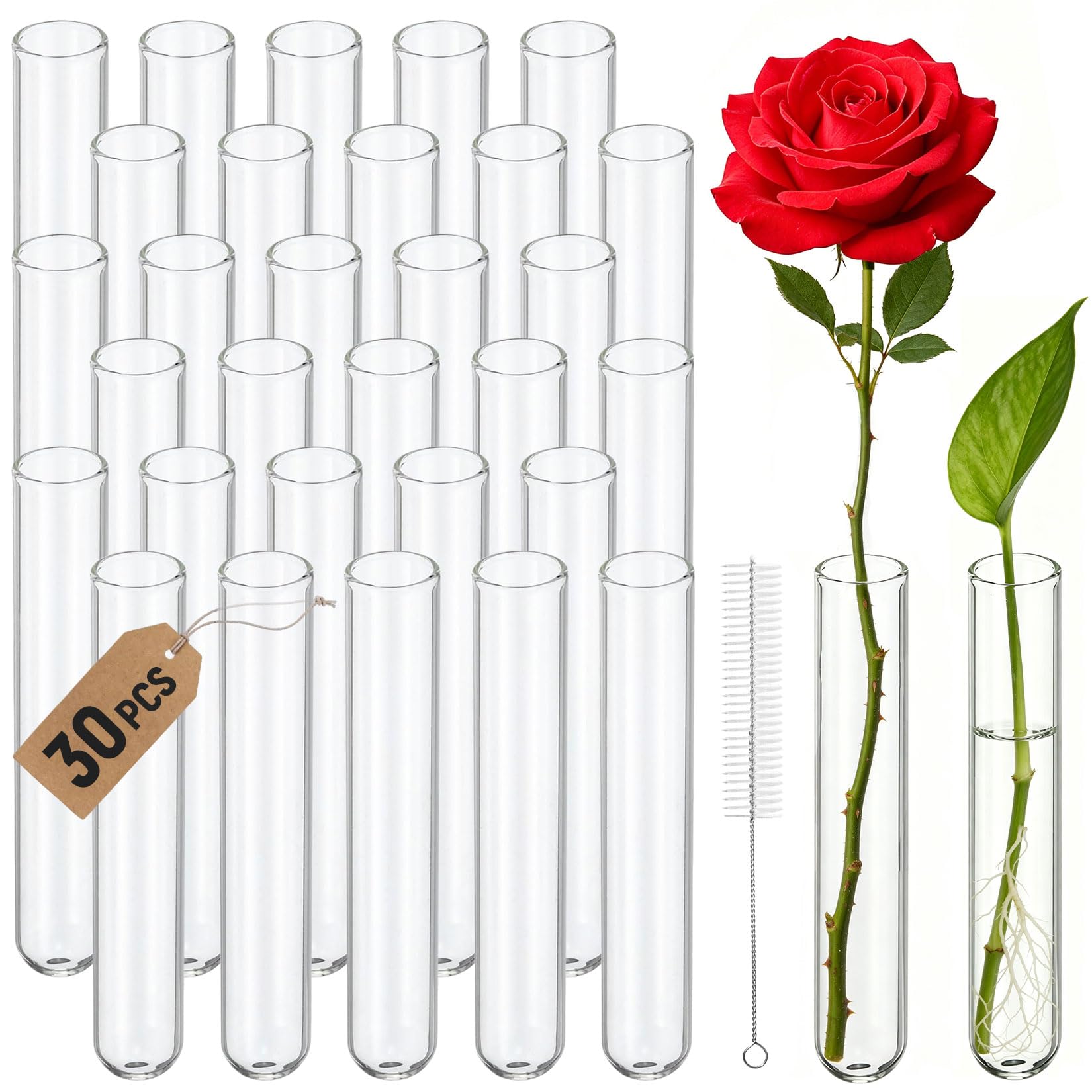 Lot de 30 tubes à essai en verre de 20 x 150 mm de long avec brosse de nettoyage