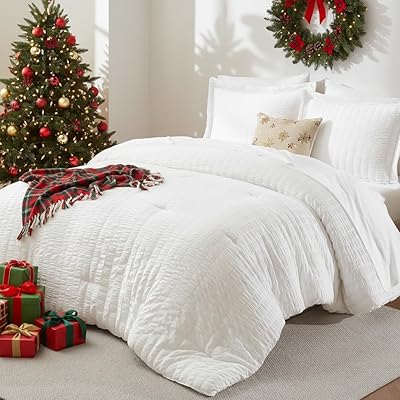 CozyLux Queen Comforter Set White Seersucker 7 Pieces Bed in a Bag Queen Comforter Set with Sheets, Luxury Soft Bedding Set with Down Alternative Comforter, Sheets, Pillowcases & Shams for All Seasons