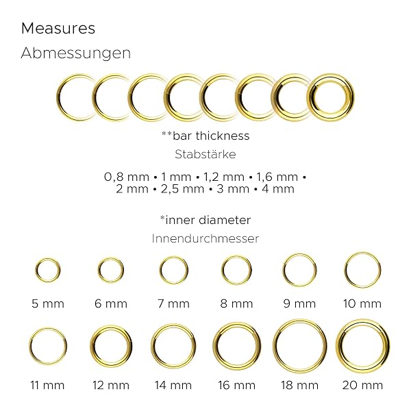 PIERCINGLINE Segmentring Clicker aus Titan - Piercing für Nase, Septum, Ohr, Helix oder Tragus - 3