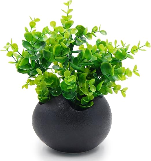 Amazon Tossow 植木鉢 陶器鉢 卵形 多肉植物 サボテン鉢 ハーブ プランター容器 おしゃれ プレゼント ミニ ブラック 鉢