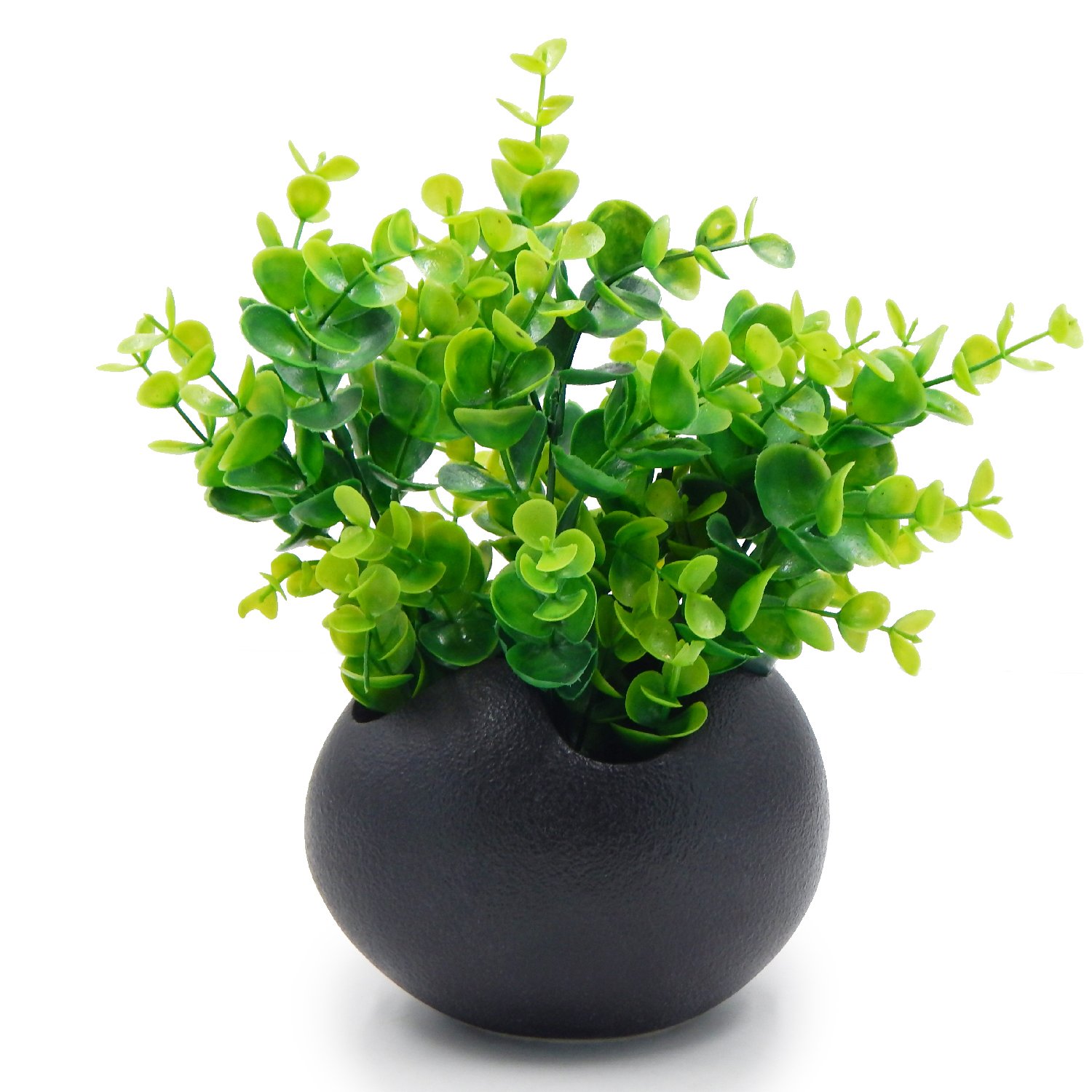 Amazon | TOSSOW 植木鉢 陶器鉢 卵形 多肉植物 サボテン鉢 ハーブ