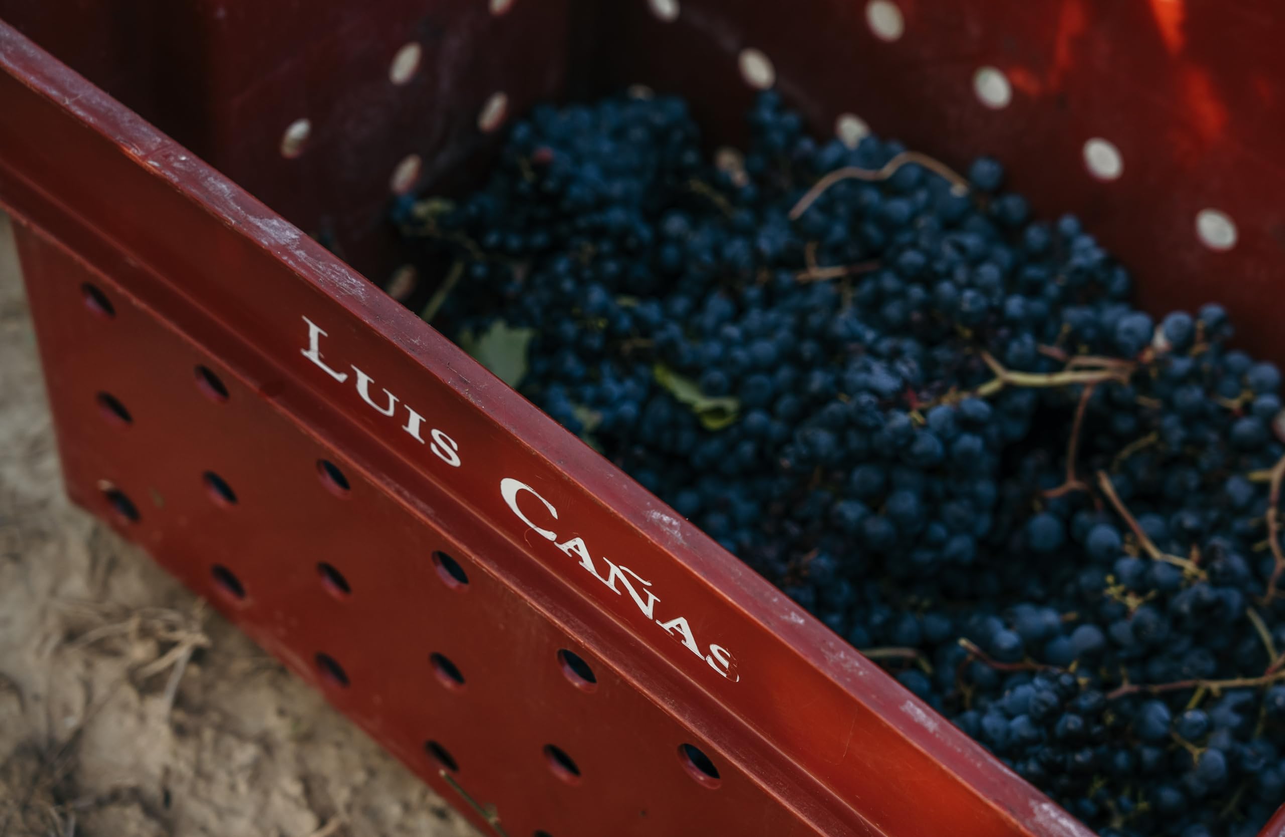 Luis Cañas - Vino Tinto con D.O. Rioja - Reserva Familia - Variedad Tempranillo, Carbernet-Sauvigon - Notas de Fruta Negra - Barricas Roble Francés y Americano - Estuche Cartón - 2 Botellas de 75 cl