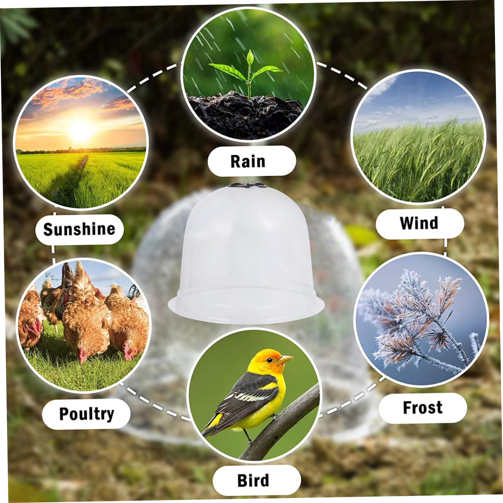 Toyvian Dôme en Plantes Protection PVC de Pièces Pépinière 6
