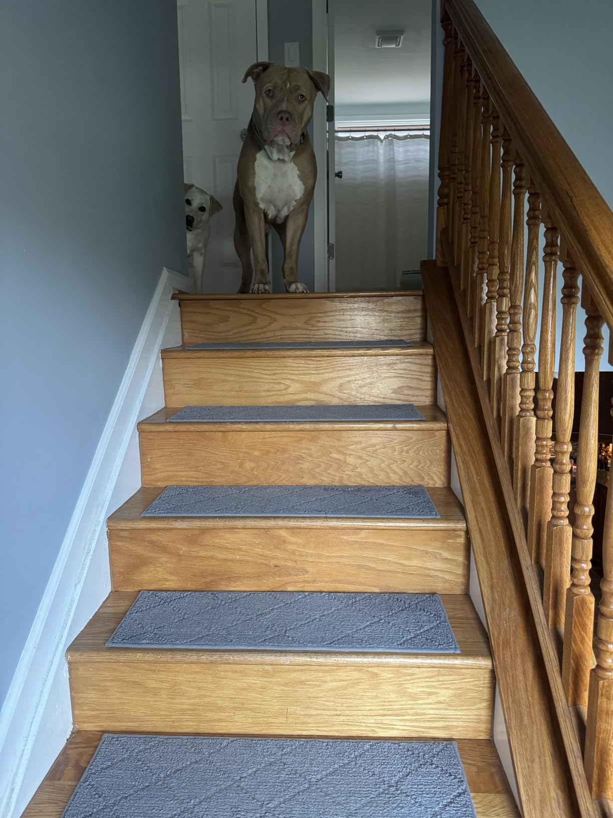 Diamond Stair Treads