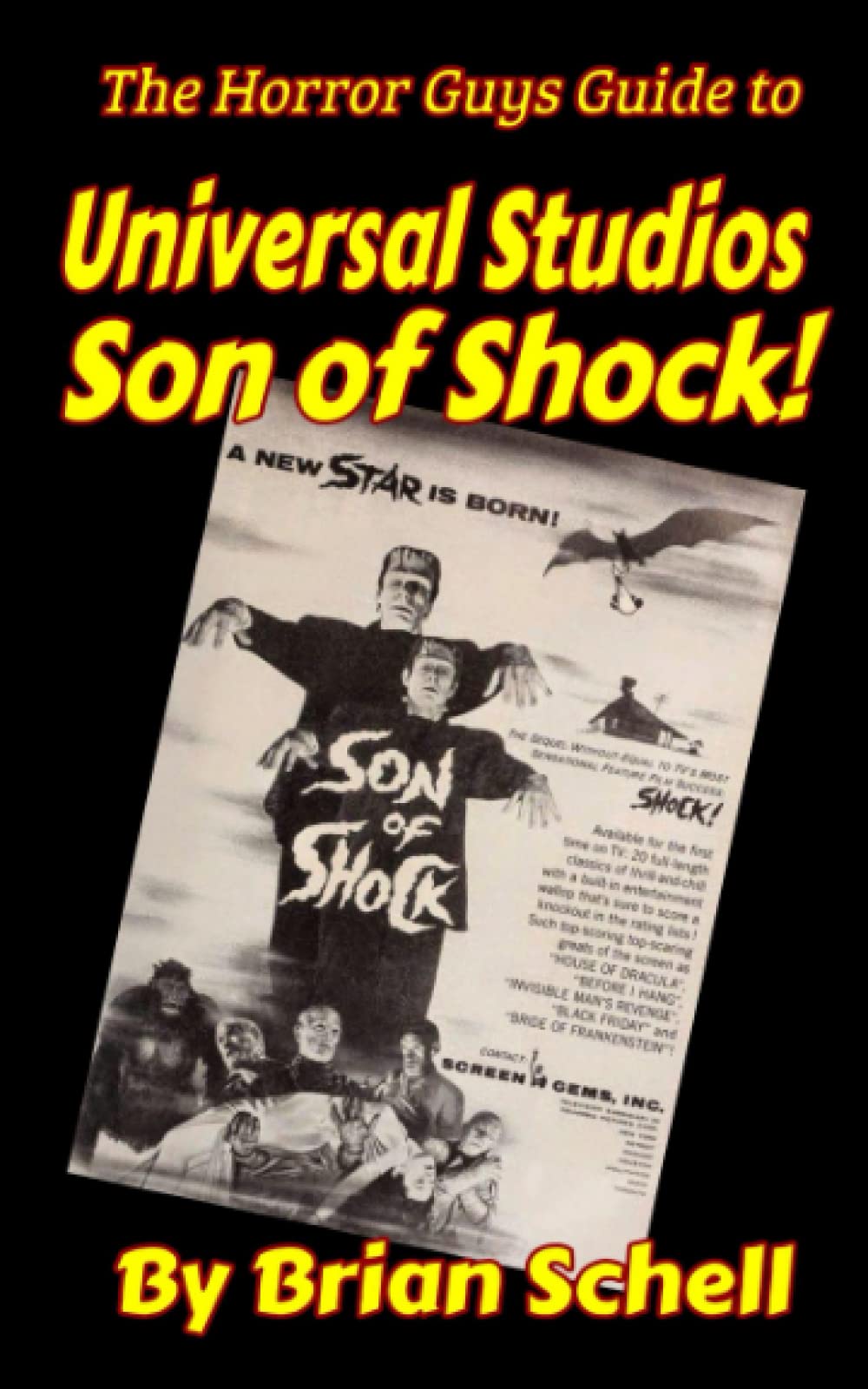 The Horror Guys Guide to Universal Studios Son of Shoc
