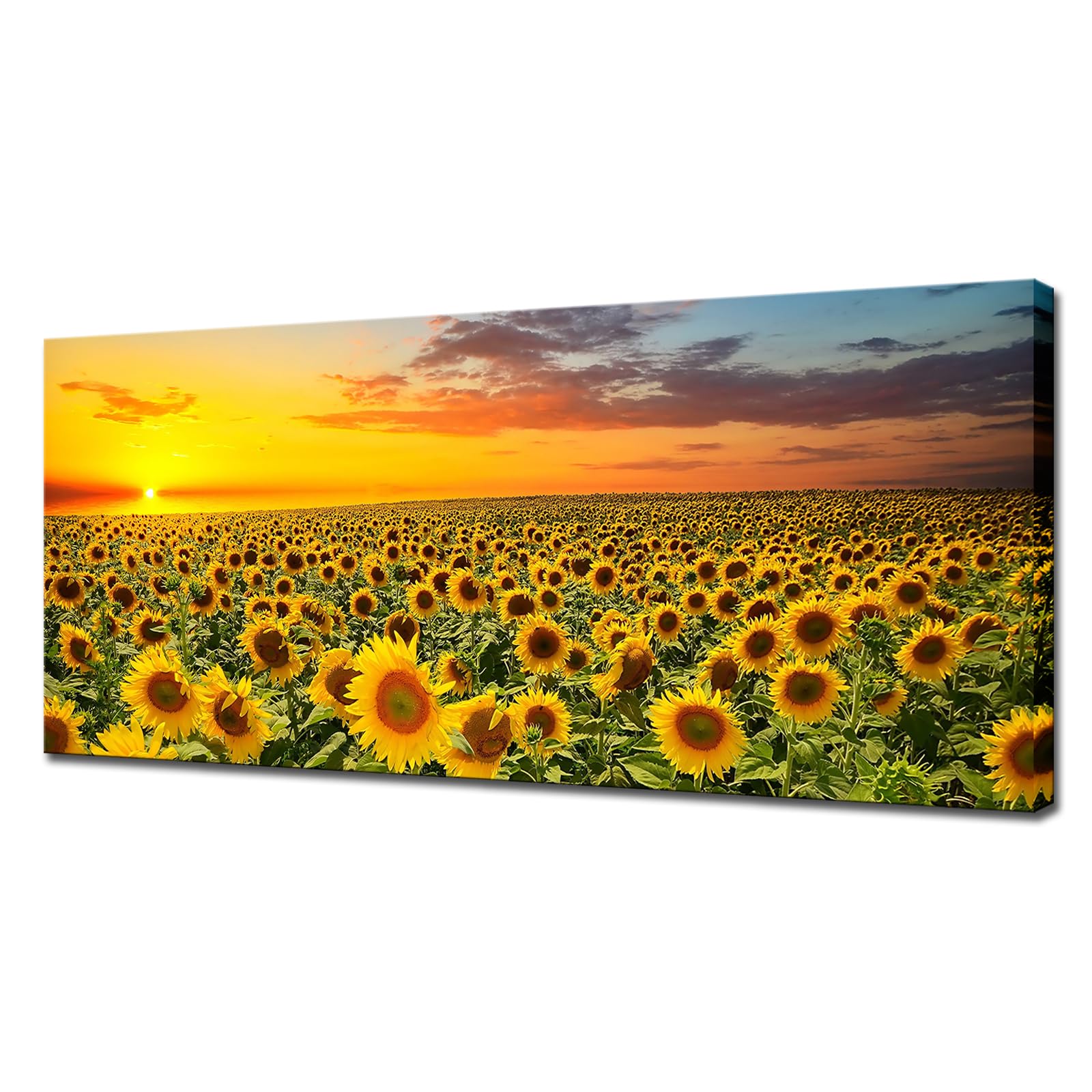 Sunflower Canvas Wall Art Brilliant Sunflower with Sunset Landscape ...