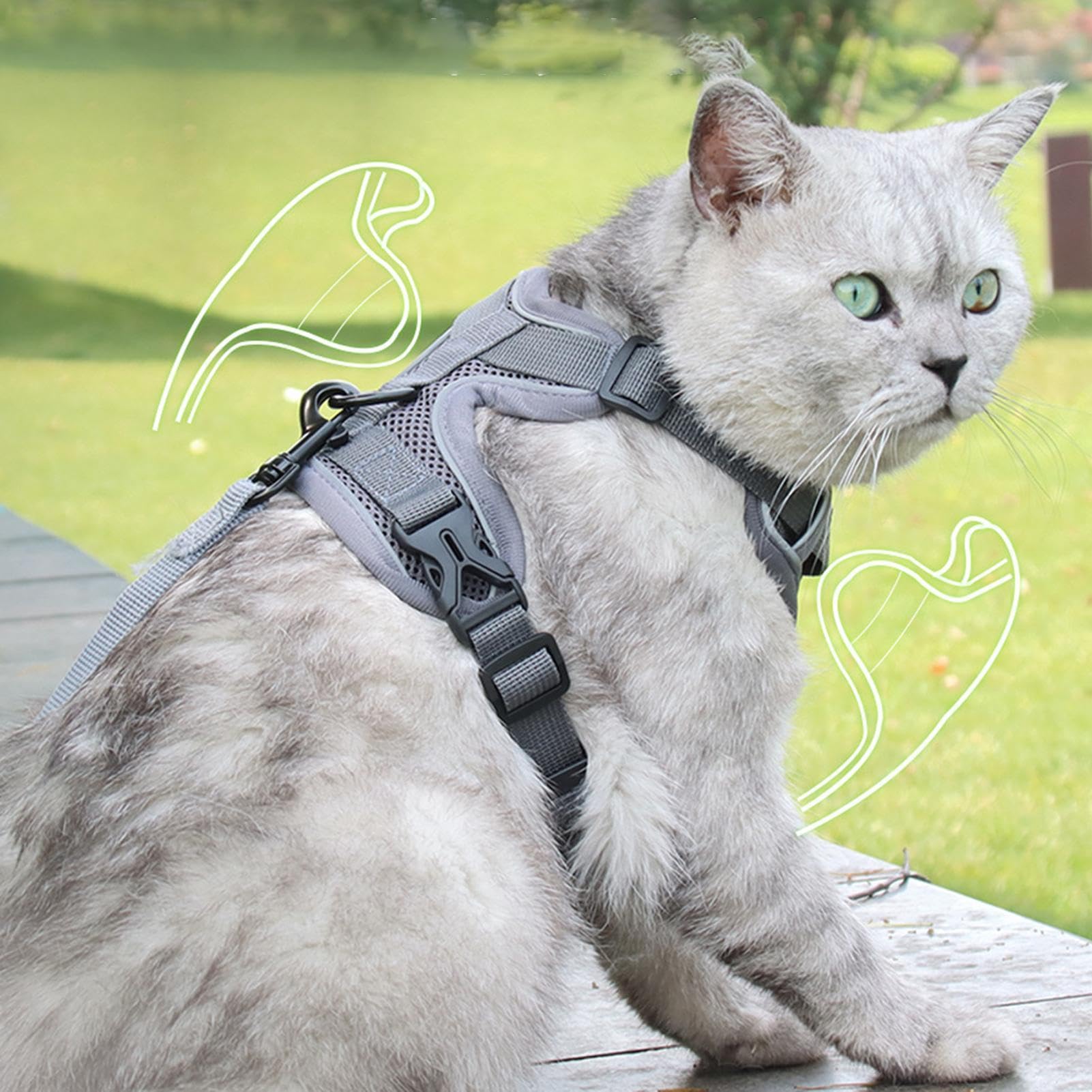 Harnais anti-fuite pour chat avec laisse de jogging réfléchissante, facile à contrôler, design anti-échappement pour la marche en plein air et la sécurité, parfait pour les chats actifs