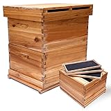 Million Star Beehive, 20-Frames Complete Beehive Starter Kit, 2 Layer Bee Hive with Wax Coated Wooden Honeycomb Foundation Frames (10 Deep and 10 Medium), Beekeeper Kit,Honey House for Beginner