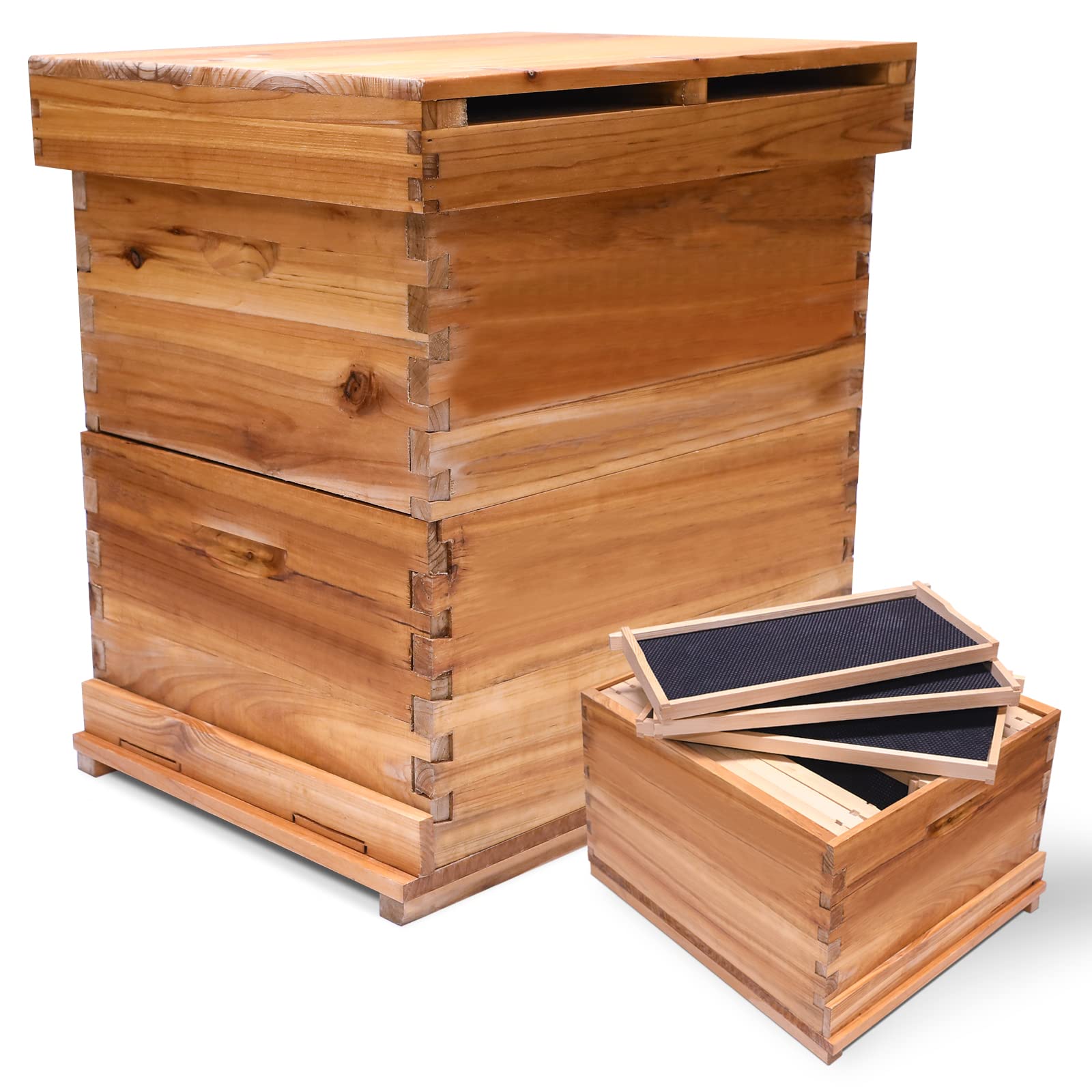 20-Frame Complete Beehive Starter Kit