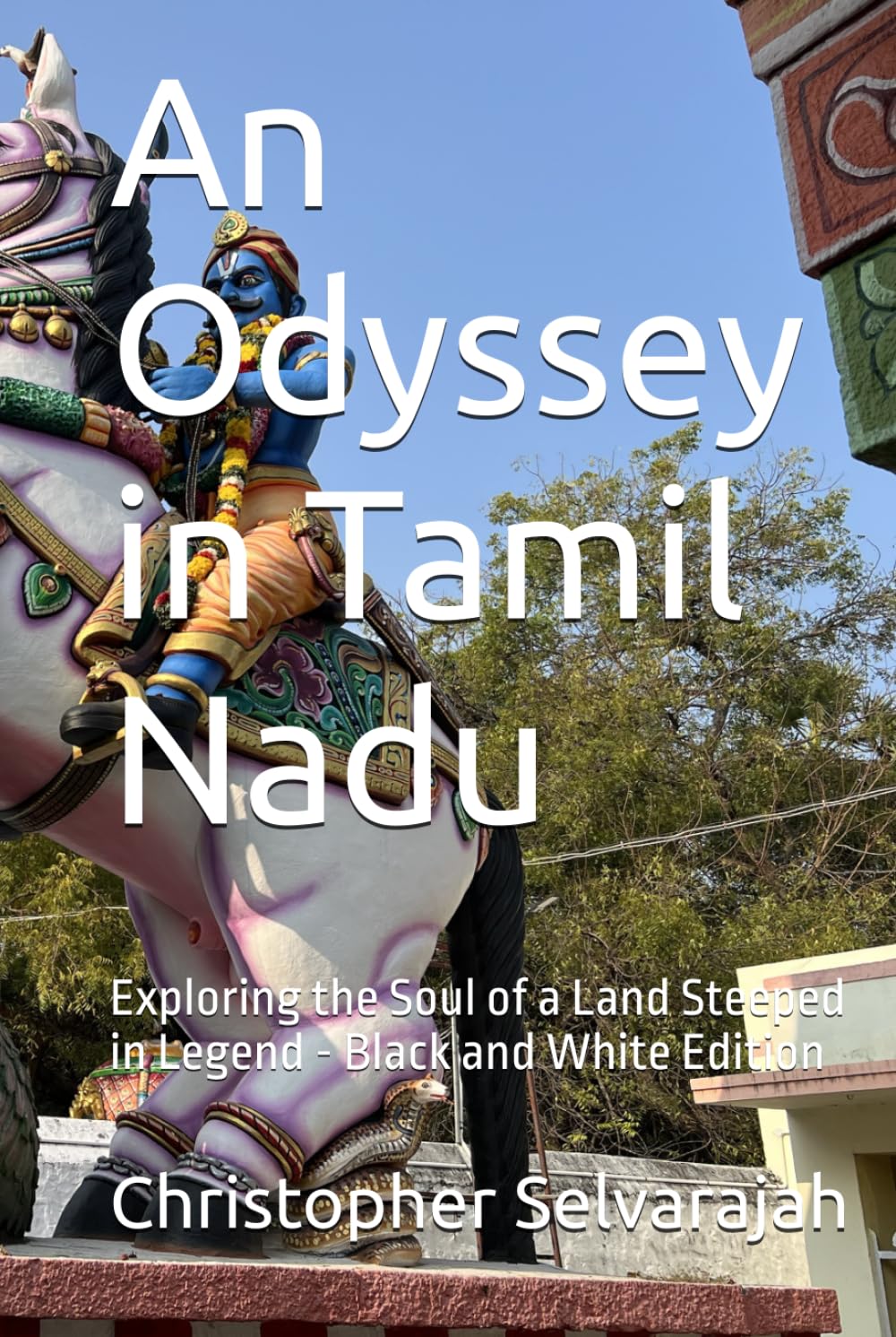 An Odyssey in Tamil Nadu: Exploring the Soul of a Land Steeped in Legend - Black and White Edition