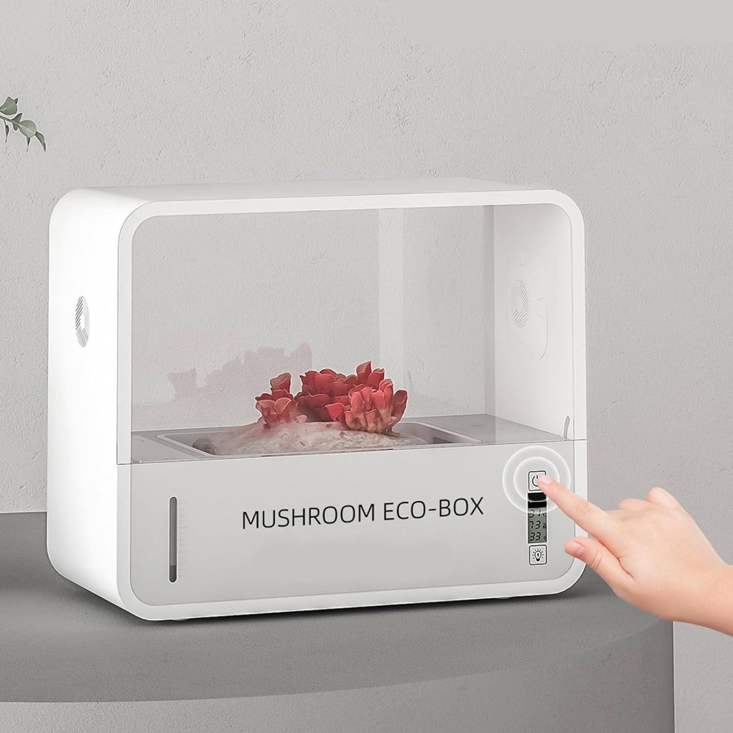 BURTON VAPOR 157.5 スタッシュデザイン 美品 DIODE 付