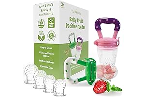 Ashtonbee Baby Food Feeder, 2-Pack Pacifier Fruit Feeder for Solids Introduction