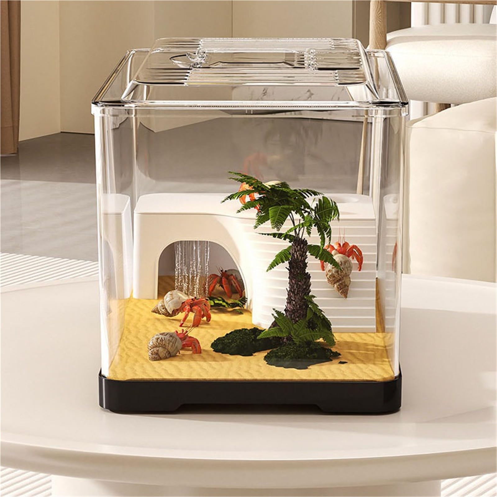 Acuario para Tortugas Tanque de observación Tortugas Transparente: Acuario Escritorio for alimentación y(Grande)