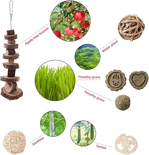 Miniatura 3 de 14 piezas de juguetes de conejo, juguetes para masticar, juguetes de hámster para dientes, madera de manzana natural, palitos de heno Timothy,