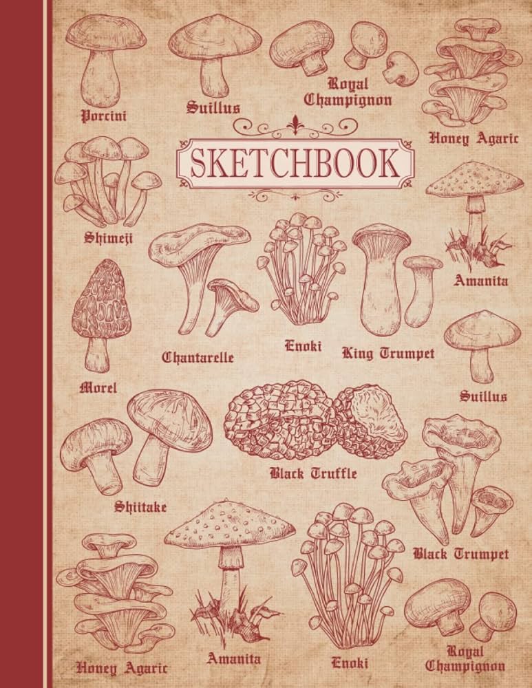 Sketchbook: Types of Mushrooms | Vintage Style | Drawing Pad