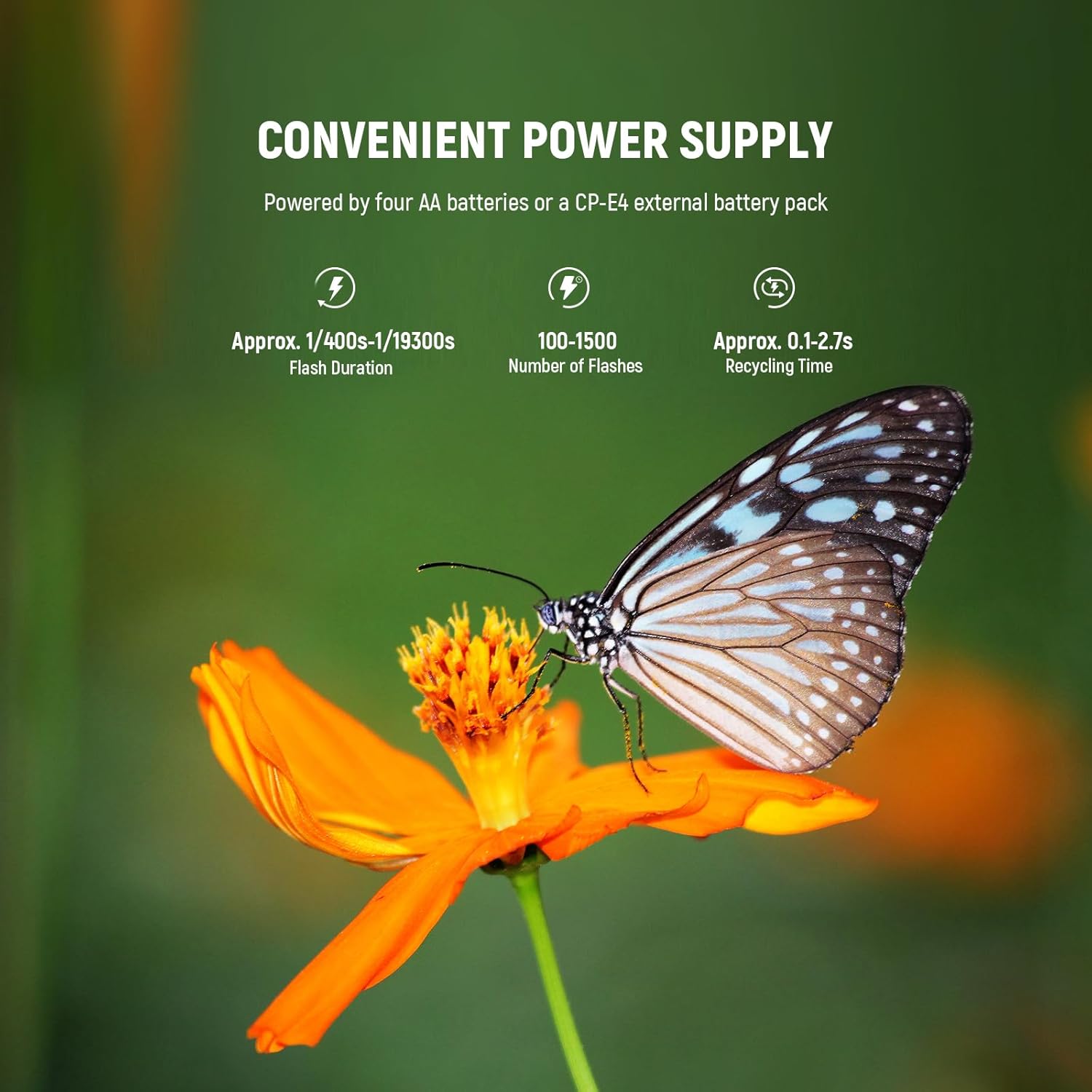 Image showing a butterfly on a flower, with text indicating the flash's power supply features: flash duration, number of flashes, and recycling time.