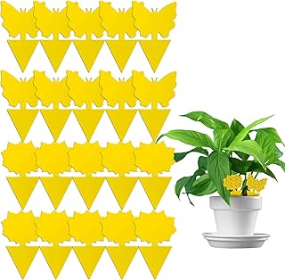 Yellow Sticky Traps, 20 Pcs Sticky Fruit Fly and Plant Gnat Bug Trap for Indoor/Outdoor Use - Insect Catcher for White Flies, Mosquitos, Fungus Gnats, Flying Insects Glue Trappers