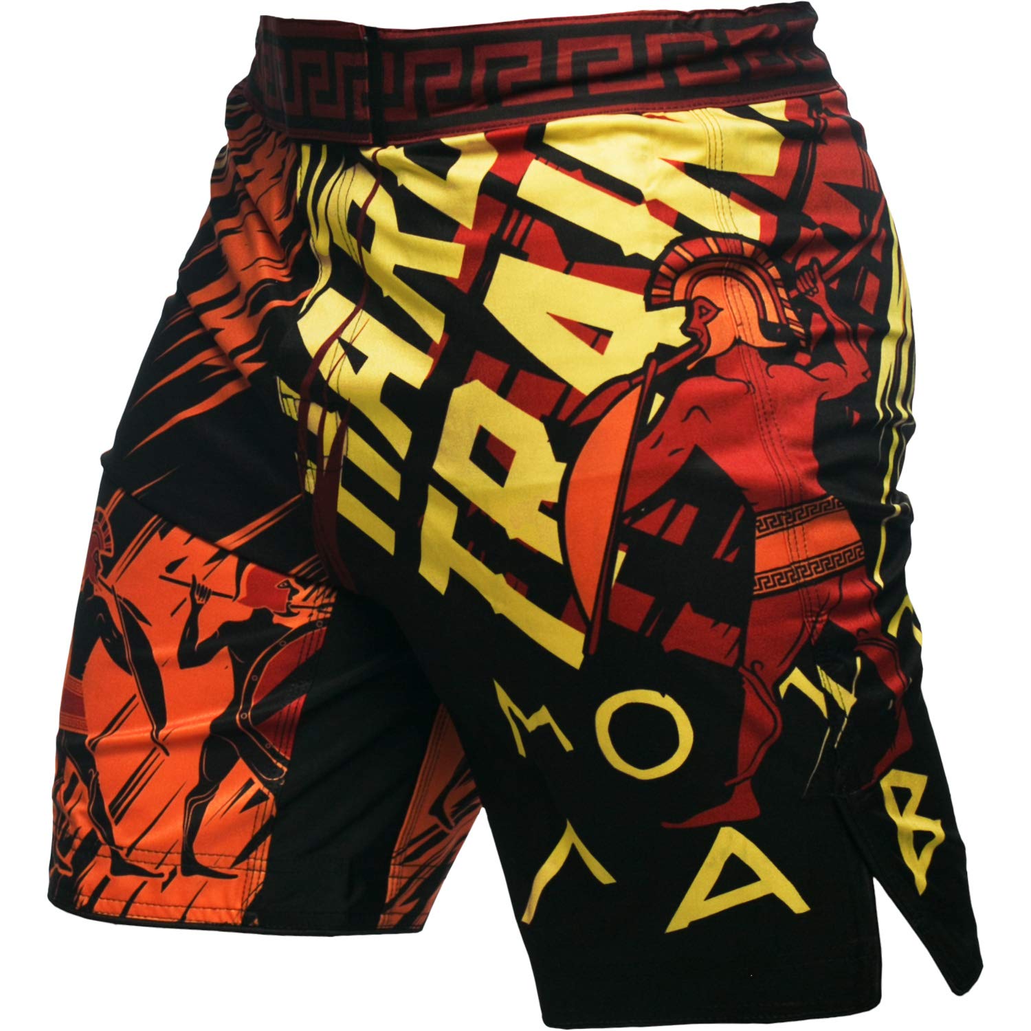 Hardcore TrainingFight Shorts Sparta Black Boxing MMA Combat BJJ Grappling Fitness Muay Thai Kickboxing No Gi, Black, S