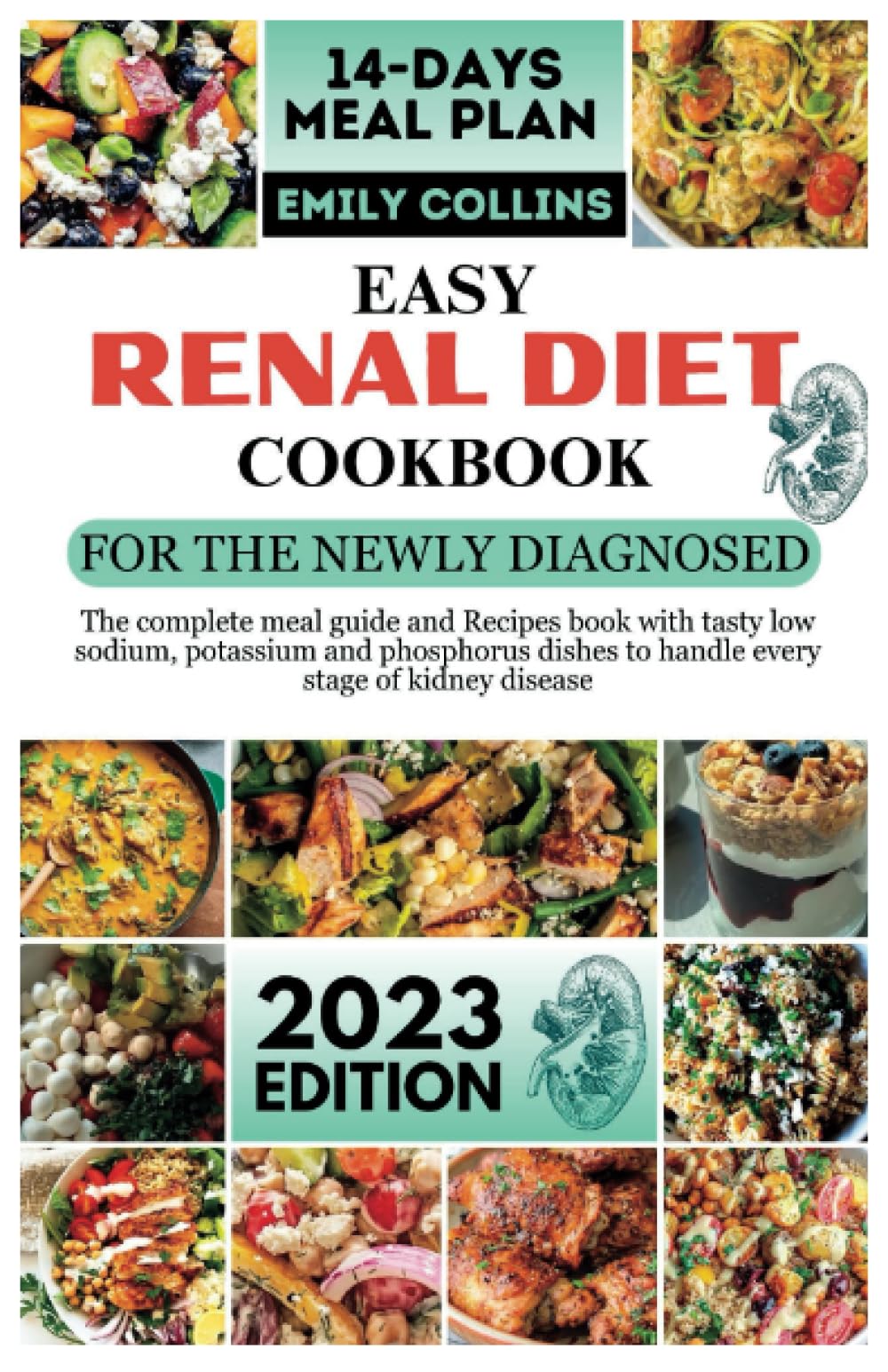 EASY RENAL DIET COOKBOOK FOR THE NEWLY DIAGNOSED: the complete meal guide and Recipes book with tasty low sodium, potassium and phosphorus dishes to handle every stage of kidney disease