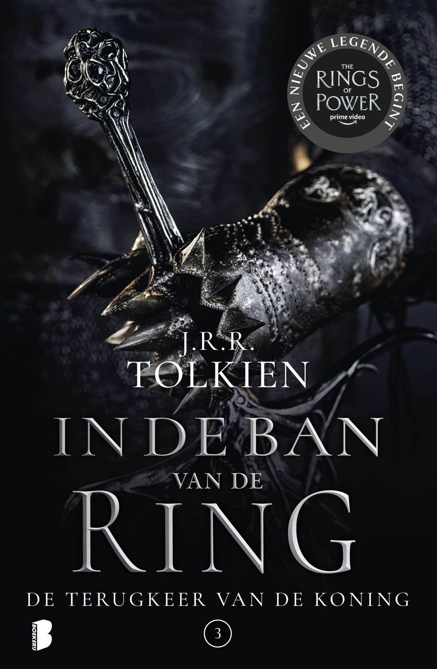 De terugkeer van de koning (In de ban van de ring, 3)