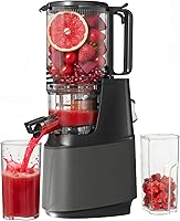 YOYDS Cold Press Juicer with 5.3" Wide Chute - Slow Masticating Machine for Whole Fruits Veggies High Yield Gray