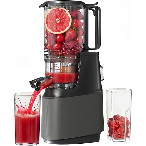 Cold Press Juicer, Juicer Machines with 5.3" Wide Feed Chute, Slow Masticating Juicer for Whole Fruits and with VegetablesHigh Yield (Gray)