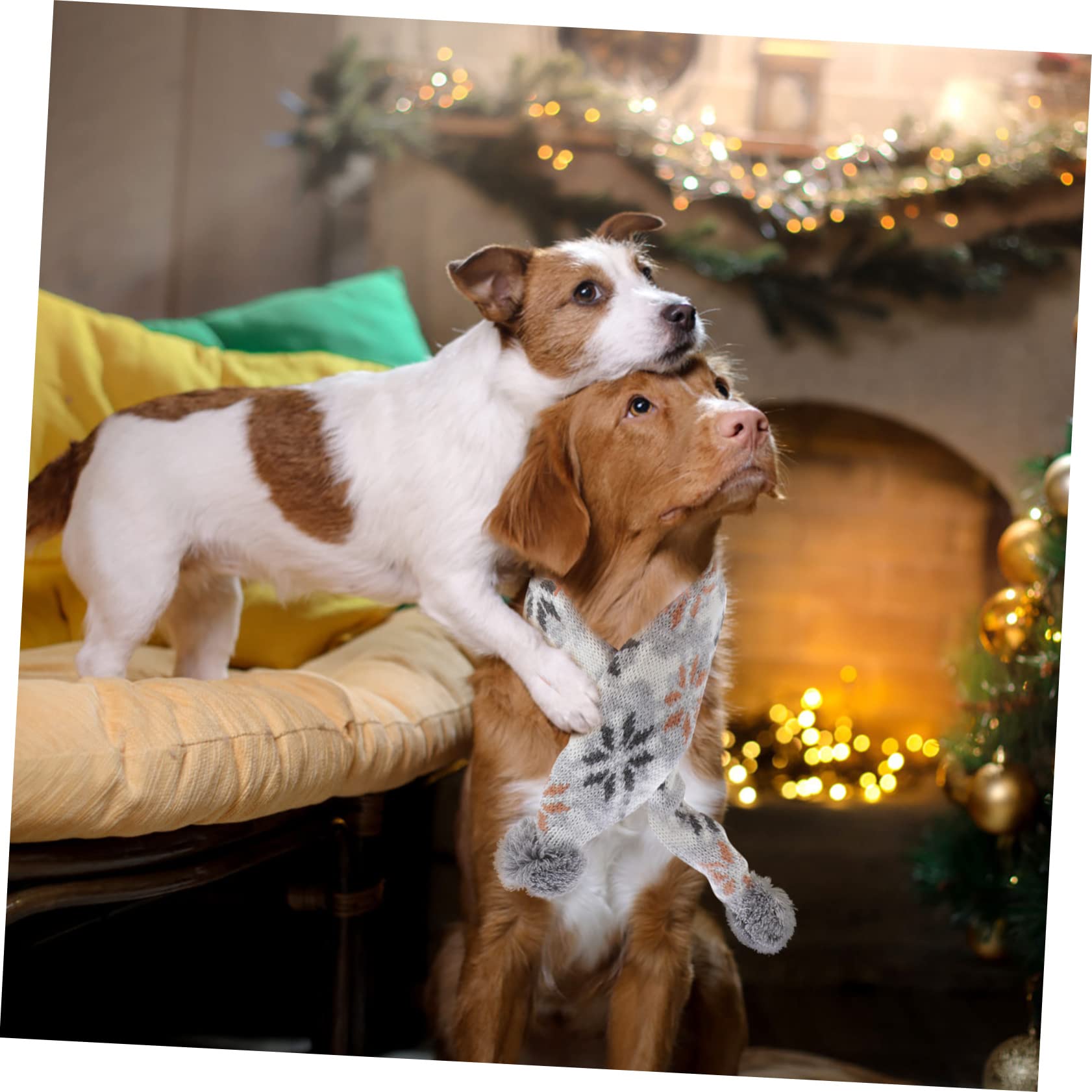 INOOMP 3sätze Adorables Xmas Pet Dog Kuscheliger Hundehut Und Schal Für Weihnachtsfeiern Für Fotoshootings Und Partys Leicht Und Strapazierfähig Teilig