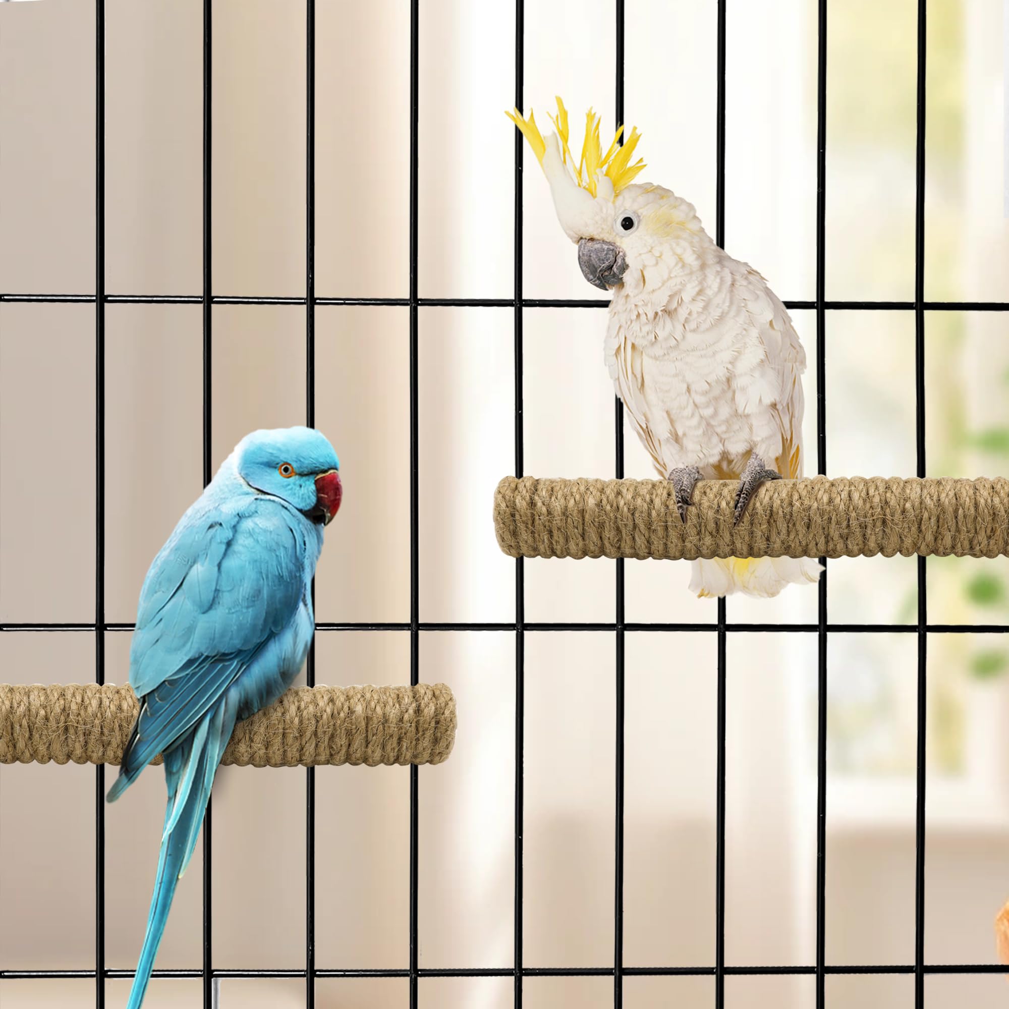 Picture of Perchoir Oiseau Hypeety Natural Wood Parrot Perch Stand - Hemp Rope ...