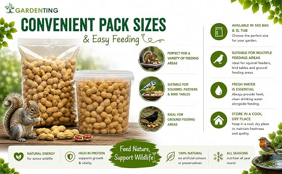 Peanuts in Shell Monkey Nuts 1kg