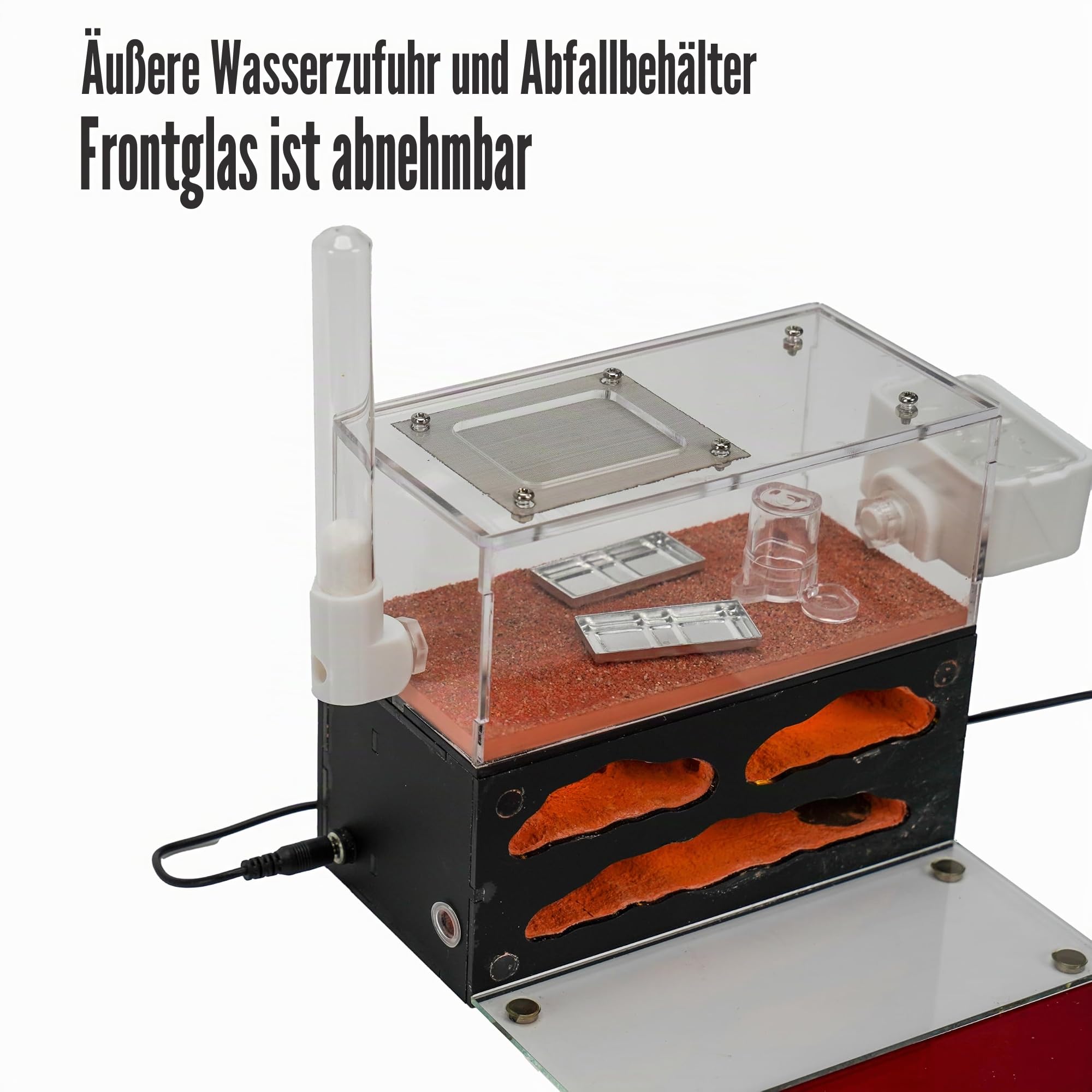 Ameisenfarm für lebende Ameisen - für kleine Ameisen-Klonie - Natürliches Lernspielzeug - Tolles Geschenk